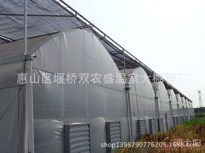 惠山区堰桥双农盛温室大棚 专业打造优质莴苣与蔬菜种植解决方案