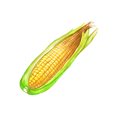 蔬菜卡通形象素材 让健康与趣味在画布上共舞