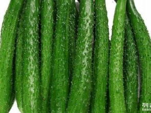 广州厨房食材配送服务 一站式农副产品、新鲜水果、肉禽类、粮油蔬菜的全方位生活配送解决方案