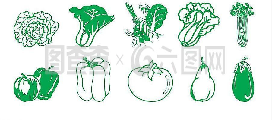 绿叶盈盈 蔬菜之美与日常之需