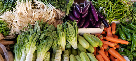 蔬菜批发市场动态与行业趋势分析